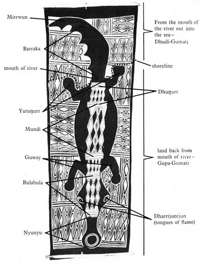 Diagram of crocodile and fire dreaming